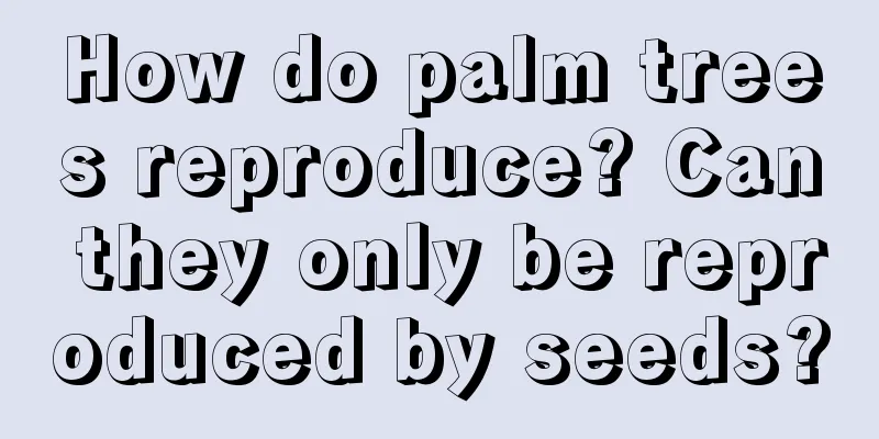 How do palm trees reproduce? Can they only be reproduced by seeds?