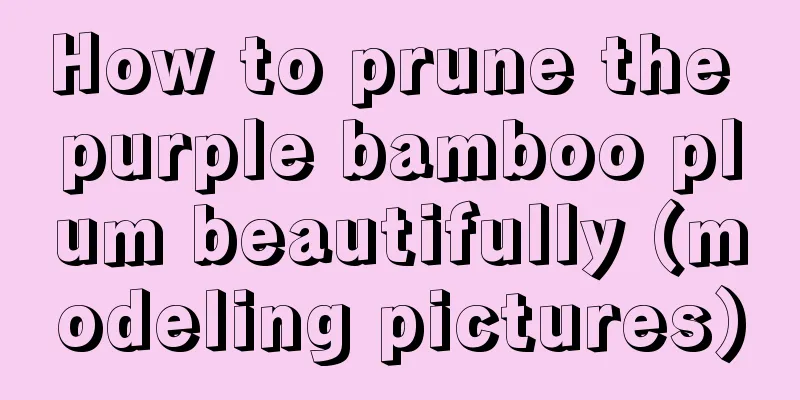 How to prune the purple bamboo plum beautifully (modeling pictures)