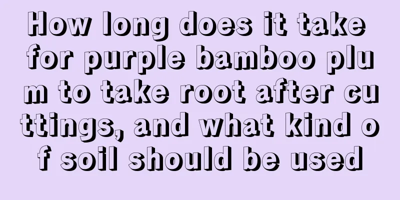 How long does it take for purple bamboo plum to take root after cuttings, and what kind of soil should be used