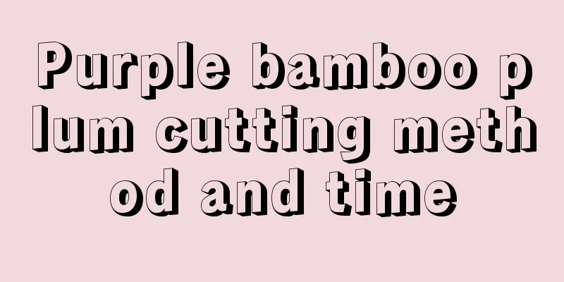 Purple bamboo plum cutting method and time