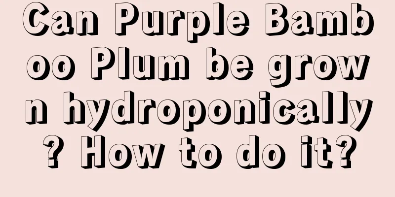 Can Purple Bamboo Plum be grown hydroponically? How to do it?