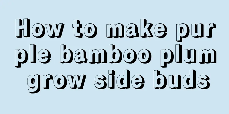 How to make purple bamboo plum grow side buds