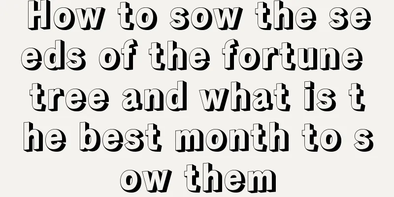 How to sow the seeds of the fortune tree and what is the best month to sow them