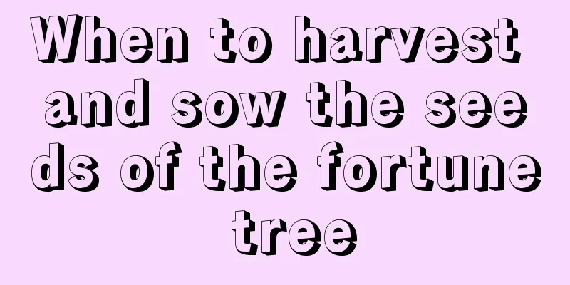 When to harvest and sow the seeds of the fortune tree