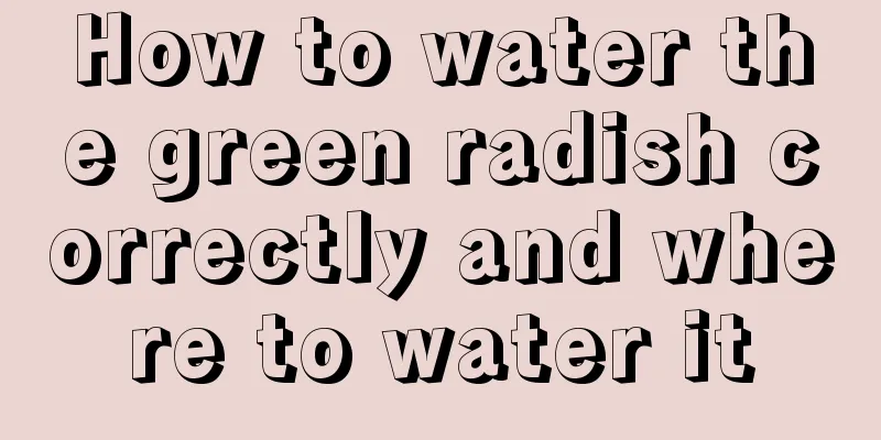 How to water the green radish correctly and where to water it