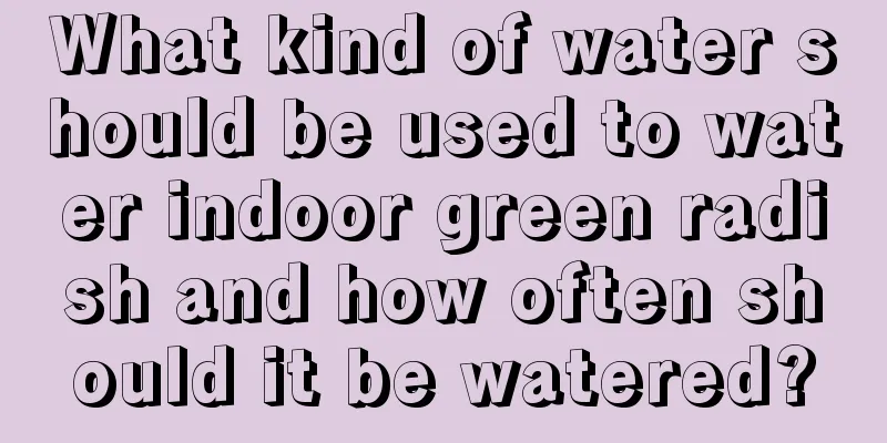 What kind of water should be used to water indoor green radish and how often should it be watered?