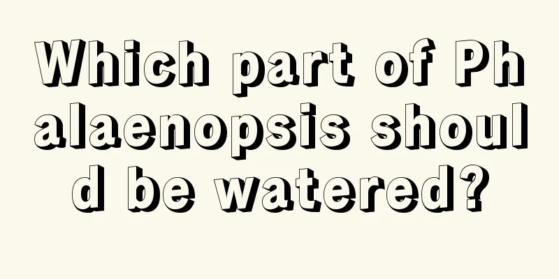 Which part of Phalaenopsis should be watered?
