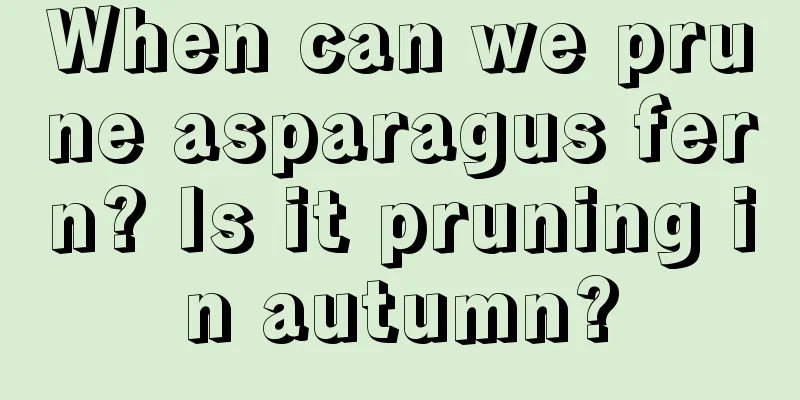 When can we prune asparagus fern? Is it pruning in autumn?