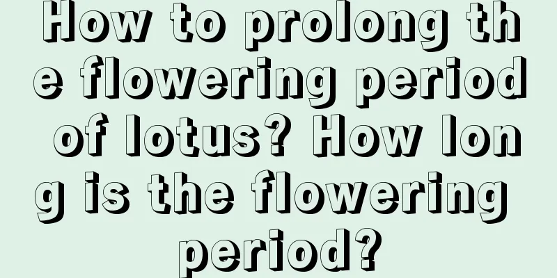 How to prolong the flowering period of lotus? How long is the flowering period?