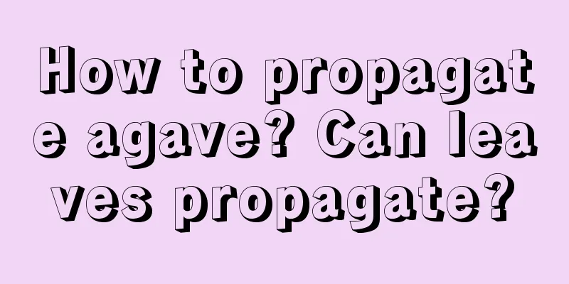 How to propagate agave? Can leaves propagate?