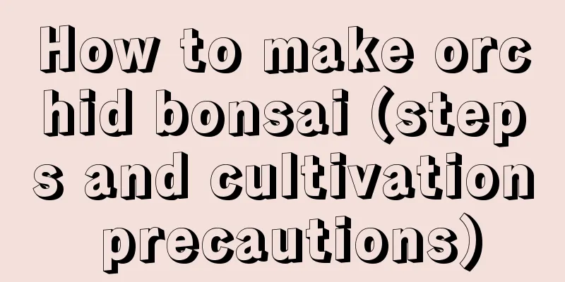 How to make orchid bonsai (steps and cultivation precautions)