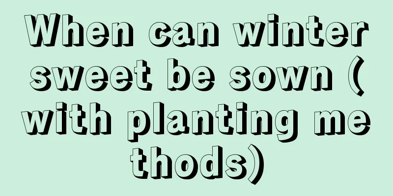 When can wintersweet be sown (with planting methods)