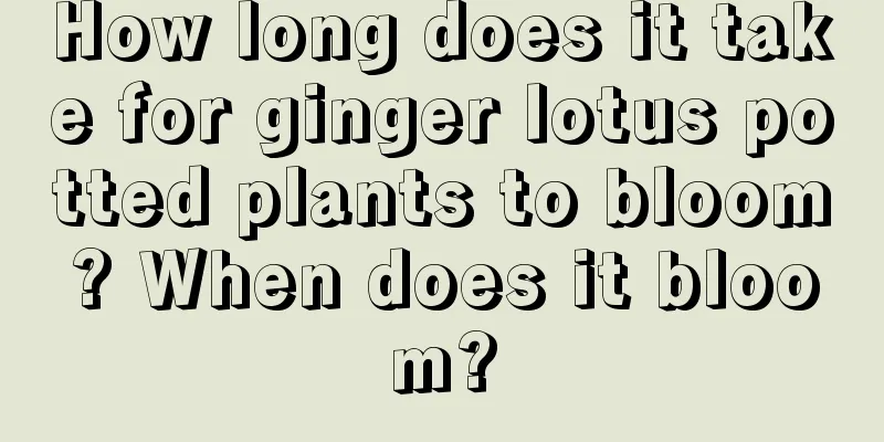 How long does it take for ginger lotus potted plants to bloom? When does it bloom?