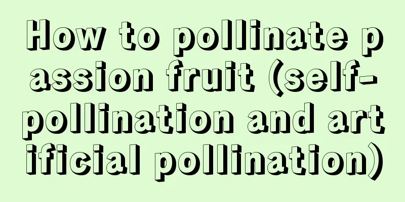 How to pollinate passion fruit (self-pollination and artificial pollination)