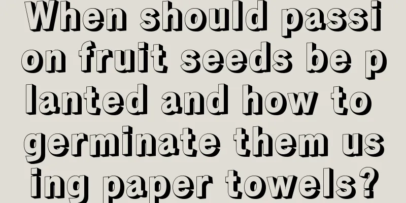 When should passion fruit seeds be planted and how to germinate them using paper towels?