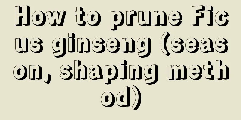 How to prune Ficus ginseng (season, shaping method)