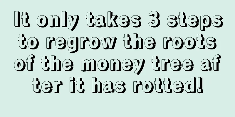 It only takes 3 steps to regrow the roots of the money tree after it has rotted!