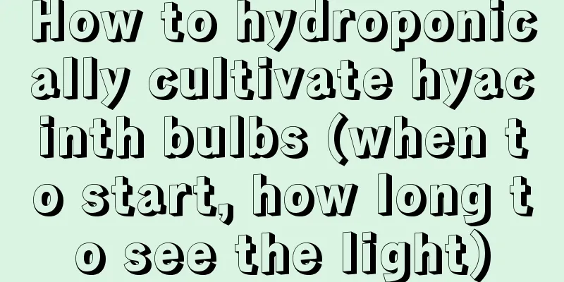 How to hydroponically cultivate hyacinth bulbs (when to start, how long to see the light)