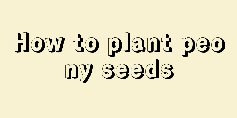 How to plant peony seeds