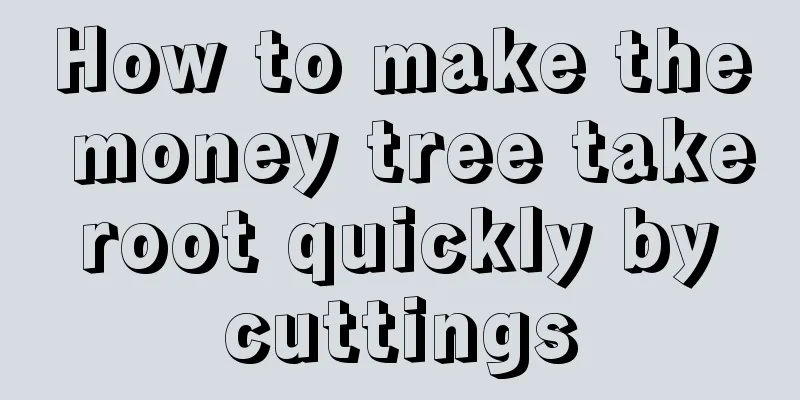 How to make the money tree take root quickly by cuttings