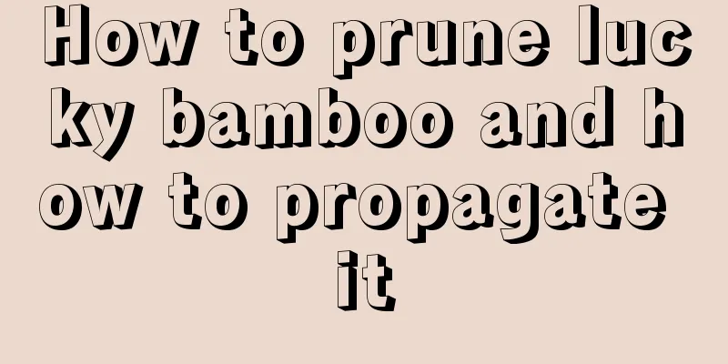 How to prune lucky bamboo and how to propagate it