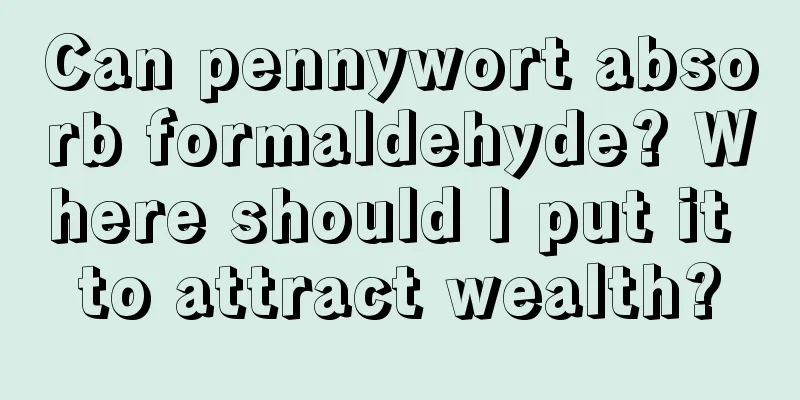 Can pennywort absorb formaldehyde? Where should I put it to attract wealth?