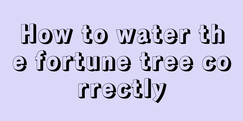 How to water the fortune tree correctly