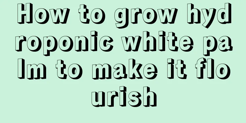 How to grow hydroponic white palm to make it flourish