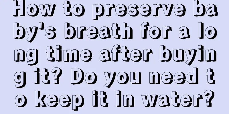 How to preserve baby's breath for a long time after buying it? Do you need to keep it in water?