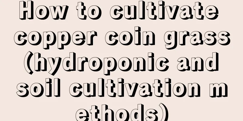 How to cultivate copper coin grass (hydroponic and soil cultivation methods)