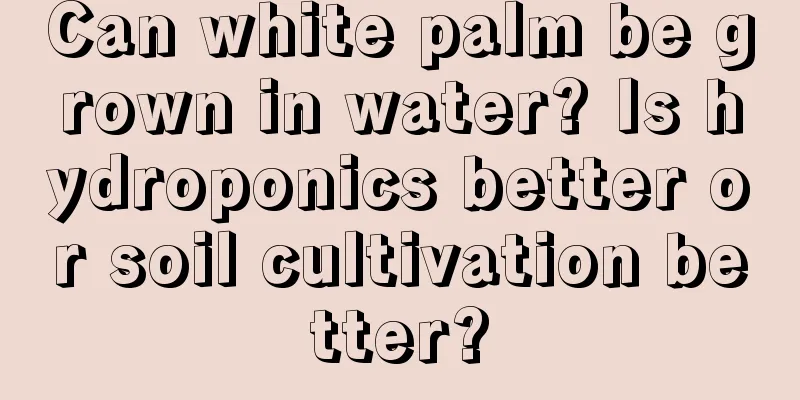 Can white palm be grown in water? Is hydroponics better or soil cultivation better?