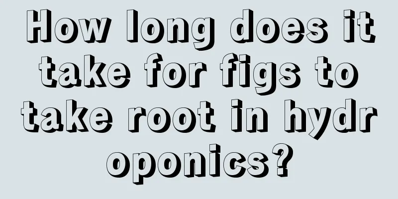 How long does it take for figs to take root in hydroponics?