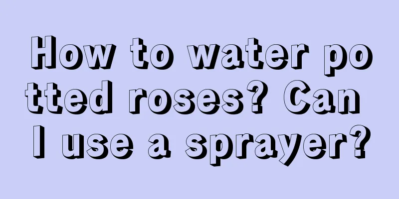 How to water potted roses? Can I use a sprayer?