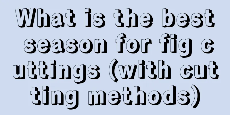 What is the best season for fig cuttings (with cutting methods)