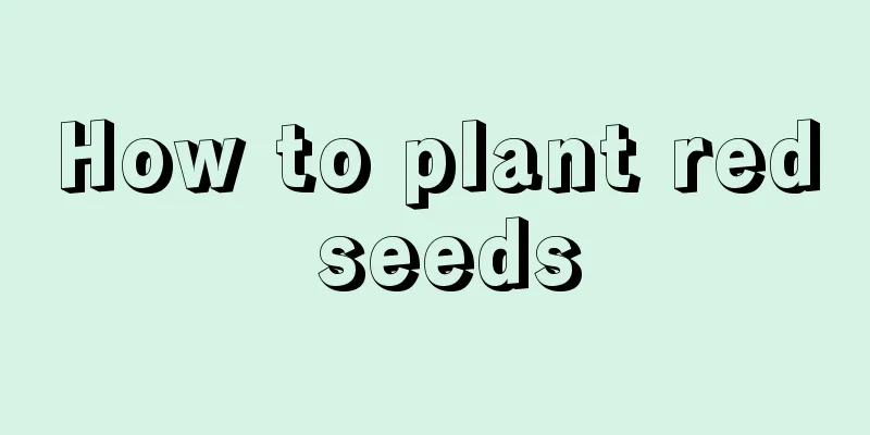 How to plant red seeds