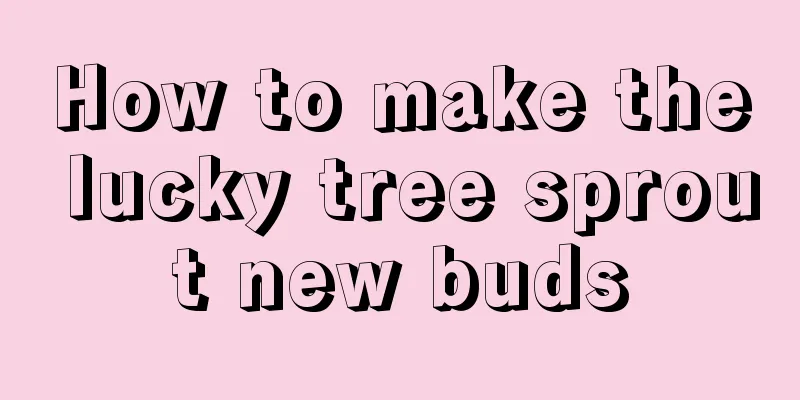 How to make the lucky tree sprout new buds