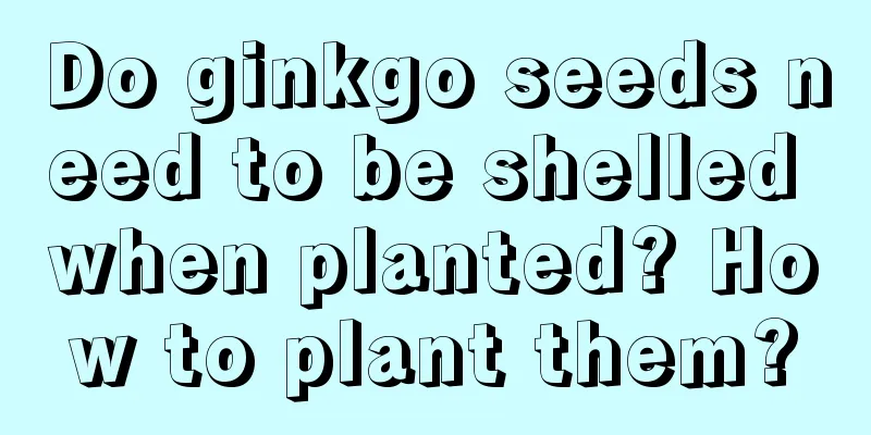 Do ginkgo seeds need to be shelled when planted? How to plant them?