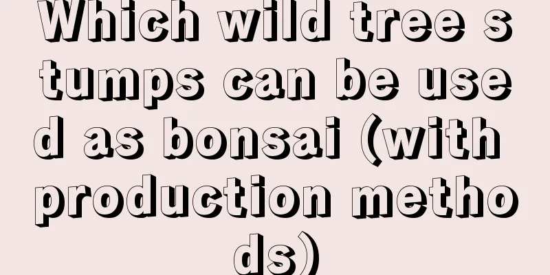 Which wild tree stumps can be used as bonsai (with production methods)