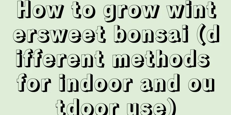 How to grow wintersweet bonsai (different methods for indoor and outdoor use)