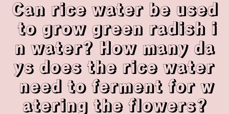 Can rice water be used to grow green radish in water? How many days does the rice water need to ferment for watering the flowers?