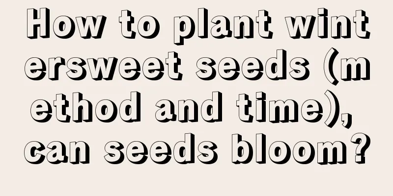 How to plant wintersweet seeds (method and time), can seeds bloom?