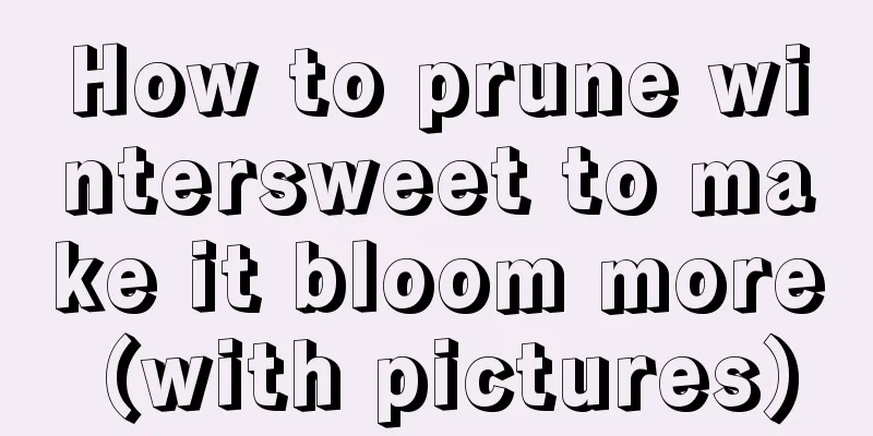 How to prune wintersweet to make it bloom more (with pictures)