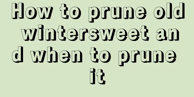 How to prune old wintersweet and when to prune it