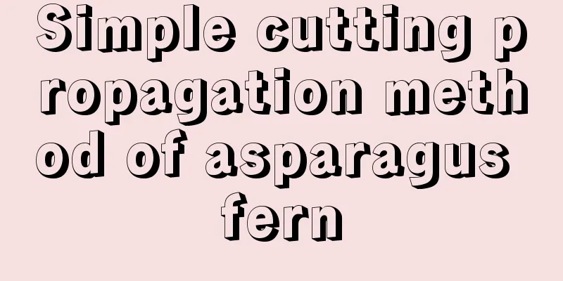 Simple cutting propagation method of asparagus fern