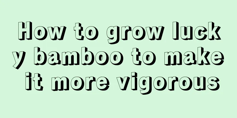 How to grow lucky bamboo to make it more vigorous