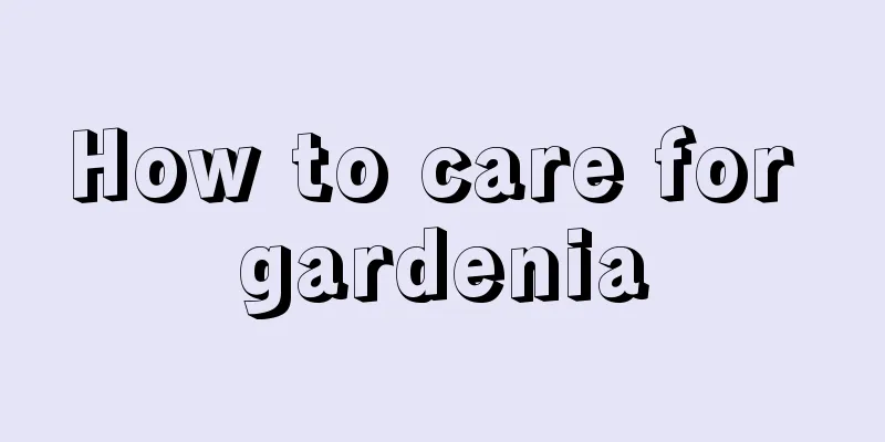 How to care for gardenia