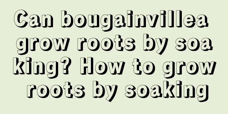 Can bougainvillea grow roots by soaking? How to grow roots by soaking