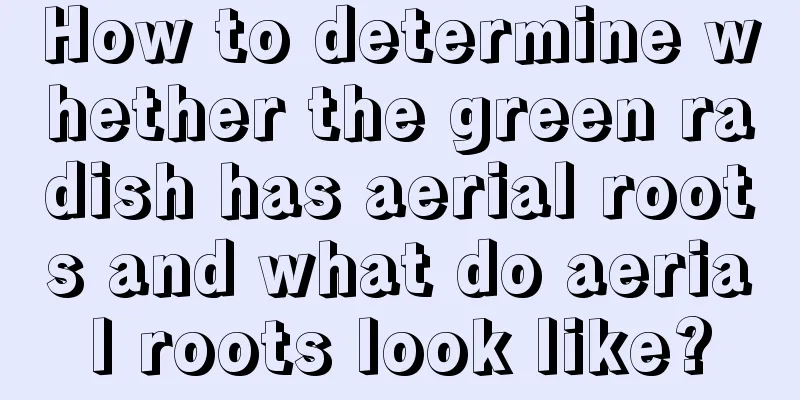 How to determine whether the green radish has aerial roots and what do aerial roots look like?