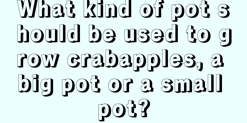 What kind of pot should be used to grow crabapples, a big pot or a small pot?