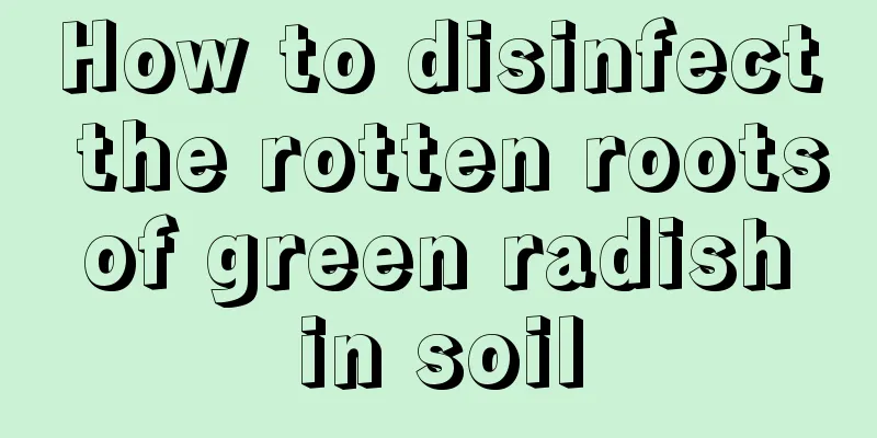 How to disinfect the rotten roots of green radish in soil